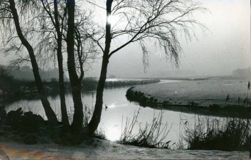 ARH Slg. Bartling 3234, Leinetal, Blick vom Ufer der Leine durch einen blattlosen Laubbaum über den mäandernden Fluss nach Süden, Neustadt a. Rbge., 1971