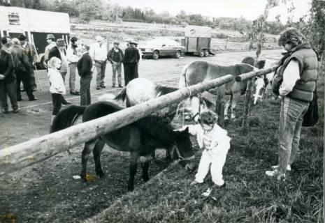 ARH Slg. Bartling 3247, Pferdemarkt an der Suttorfer Straße; Mutter mit Kind bei den Ponys, im Hintergrund Pferdehändler vor ihren Pferdetransport-Anhängern, Neustadt a. Rbge., 1987