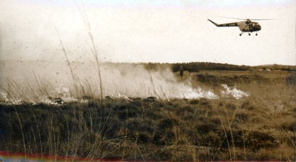 ARH Slg. Bartling 3284, Brand (Bodenfeuer) im Toten Moor, Hubschraubereinsatz über der Brandfläche, Neustadt a. Rbge., 1971