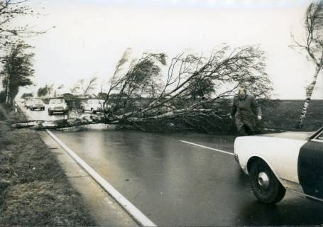 ARH Slg. Bartling 3415, Beseitigung einer Birke, die vom Orkan auf die Fahrbahn der B 6 gestürzt ist, 1973