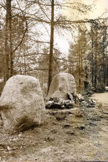 ARH Slg. Bartling 3504, Zwei Findlinge als Gedenksteine für die Opfer des 1. und des 2. Weltkrieges auf dem Friedhof, Poggenhagen, 1976