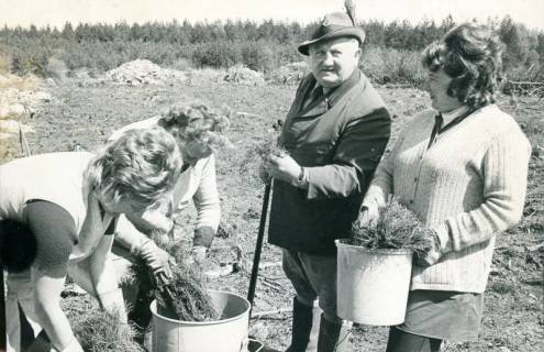 ARH Slg. Bartling 3582, Pflanzung von Setzlingen durch drei Frauen unter der Leitung von Förster Oskar Lieske (Försterei Dammkrug, in Försterkleidung), 1974