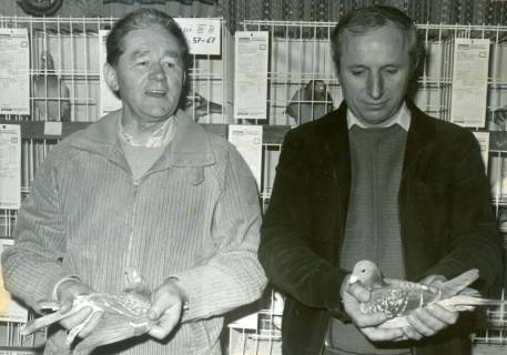 ARH Slg. Bartling 3619, Zwei Taubenzüchter mit Taube in den Händen vor den Drahtkäfigen der Tauben-Ausstellung in der Gastwirtschaft Walter Rubrecht, Landwehr 26, Neustadt a. Rbge., um 1975