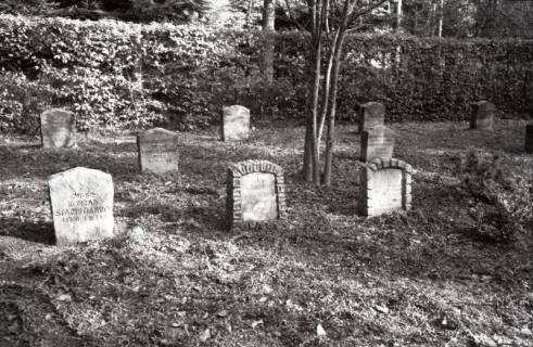 ARH Slg. Bartling 3629, Russischer Soldatenfriedhof im Grinderwald südlich von Linsburg, Blick über das Gräberfeld mit Gedenksteinen, Linsburg, um 1970