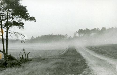 ARH Slg. Bartling 3644, Über einem Weg in der Heide hängende Rauchschwaden (vom Abflämmen des Strohs?), um 1975