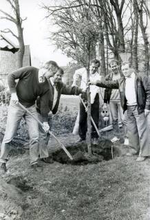 ARH Slg. Bartling 3698, Fünf Männer beim Pflanzen eines Straßenbaums, Helstorf, um 1985