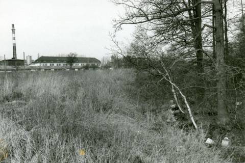 ARH Slg. Bartling 3753, Ehemalige Schuttkuhle (Müllkippe) an der K 333 (Wunstorfer Straße), Blick über die Kippe von Osten auf das Torfwerk, Poggenhagen, um 1975