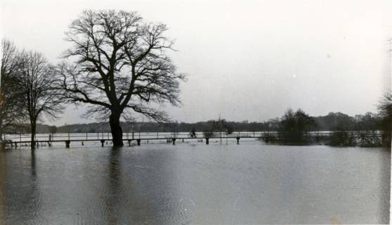 ARH Slg. Bartling 3880, Hochwasser der Leine, Blick über die Wasserfläche auf den Fußgängersteg an der Straße Am Fährhaus , 1987