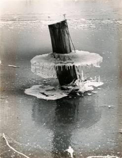 ARH Slg. Bartling 3885, Hochwasser der Leine, Überschwemmung der Leinemasch bei Bordenau, bizarre Eisgebilde um einen Baumstumpf, 1987