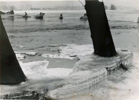 ARH Slg. Bartling 3886, Hochwasser der Leine, Überschwemmung der Leinemasch bei Bordenau, bizarre Eisgebilde um zwei Baumstämme, 1987