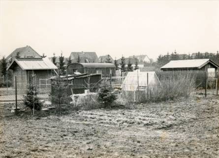 ARH Slg. Bartling 3923, Kleingartenanlage, Blick von außen auf die schlichten Gartenlauben, Bordenau, 1987