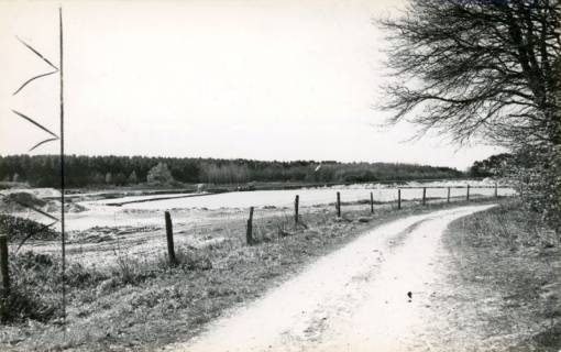 ARH Slg. Bartling 3946, Panoramabild vom Kiesteich mit Blick von einem abbiegenden Weg im Vordergrund über den Rand des Kiesteichs und das Wasser auf den Waldsaum im Hintergrund, Bordenau, 1972