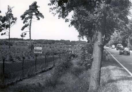 ARH Slg. Bartling 4051, Blaubeerplantage Wassermann, Blick entlang dem Grenzzaun und den Straßenrand der B 6 in Richtung Nienburg, Eilvese, um 1980