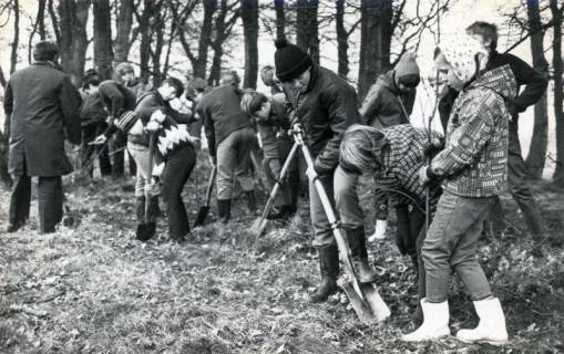 ARH Slg. Bartling 4104, Schulkinder bei einer Baumpflanz-Aktion, Eilvese, 1970