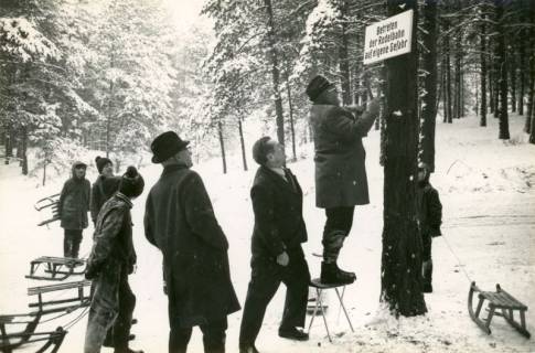 ARH Slg. Bartling 4121, Anbringung des Warnschildes "Betreten der Rodelbahn auf eigene Gefahr" an einem Baum der verschneiten neuen Rodelbahn Eckberg, Eilvese, 1971