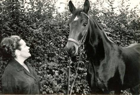 ARH Slg. Bartling 4209, Frau Rohrmoser stehend vor einem Pferd aus ihrem Gestüt, im Hintergrund eine Hecke, Hagen, 1969