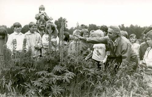 ARH Slg. Bartling 4233, Helstorfer Moor, Biologieunterricht der Kinder über wilde Lupinen, Helstorf, um 1970