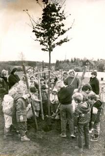 ARH Slg. Bartling 4238, Kinder mit Betreuerinnen beim Pflanzen eines Baumes, Helstorf, um 1985