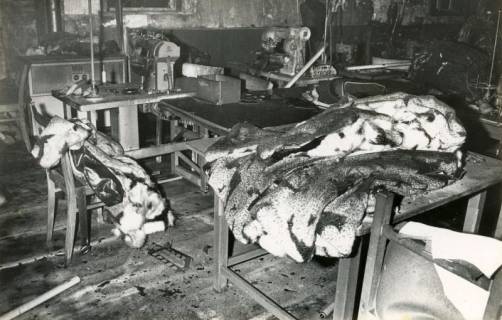 ARH Slg. Bartling 4508, Ausgebrannte Näherei mit Nähmaschinen und Pelzmänteln nach einem Großbrand, Laderholz, 1970