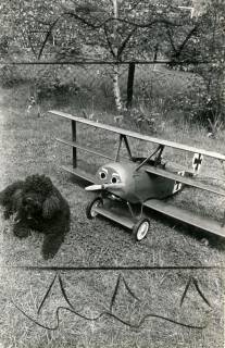 ARH Slg. Bartling 4585, Vorstellung des Dreideckers Focker DR 1 (von Richthofen) der Flugzeug-Modellbaugruppe Büren mit Hund im Garten, Büren (?), 1974