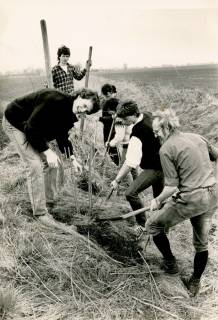 ARH Slg. Bartling 4633, Sechs junge Leute beim Pflanzen von Bäumen am Ackerrain, Mecklenhorst, um 1980