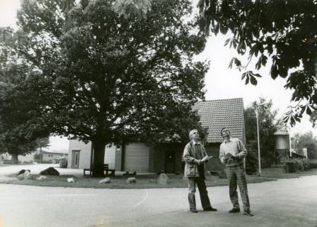 ARH Slg. Bartling 5005, Baudezernent Klaus Spennes (l.) und Landschaftsarchitekt Volker Magnus auf einer Straße stehend und nachdenklich die Krone einer Kastanie begutachtend, Wulfelade, um 1980