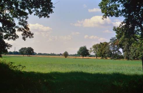 ARH Slg. Bürgerbüro 763, Blick auf ein Feld, Hannover, 2004