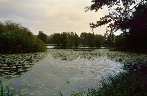 ARH Slg. Bürgerbüro 815, Blick auf einen See, Hannover, 1998