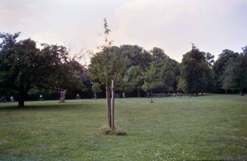 ARH Slg. Bürgerbüro 906, Parkgelände Hinüberscher Garten, Marienwerder, 1998