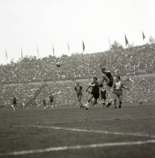 ARH Slg. Fratzer 01-009/0008, Fußball Bundesliga 1964, Hannover 96 gegen Eintracht Braunschweig, Hannover, 1964