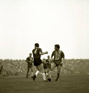 ARH Slg. Fratzer 01-0011/0002, Fußball Bundesliga 1964, Hannover 96 gegen Eintracht Braunschweig, Hannover, 1964