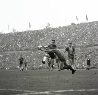 ARH Slg. Fratzer 01-0012/0001, Fußball Bundesliga 1964, Hannover 96 gegen Eintracht Braunschweig, Hannover, 1964