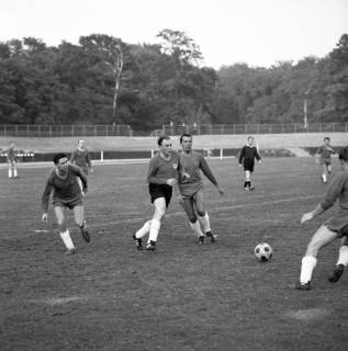 ARH Slg. Fratzer 01-0016/0007, Hannover 96 gegen Arminias Traditionsmannschaft 1964, Hannover, 1964