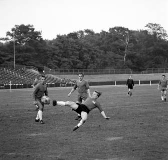 ARH Slg. Fratzer 01-0017/0001, Hannover 96 gegen Arminias Traditionsmannschaft 1964, Hannover, 1964