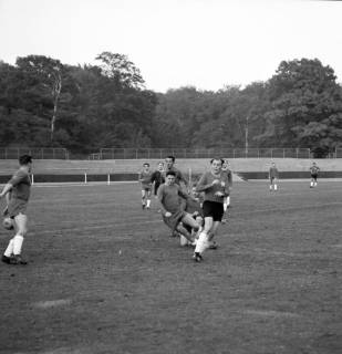 ARH Slg. Fratzer 01-0017/0004, Hannover 96 gegen Arminias Traditionsmannschaft 1964, Hannover, 1964