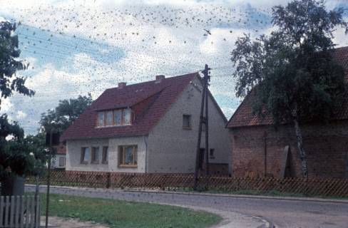 ARH Slg. Fritsche 168, Dammgartenstraße, Burgdorf, ohne Datum