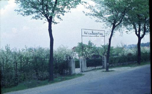 ARH Slg. Fritsche 222, Eingang des Kleingarten Vereins "Auf dem Hungerkamp" in der Sorgenser Straße, Burgdorf, ohne Datum