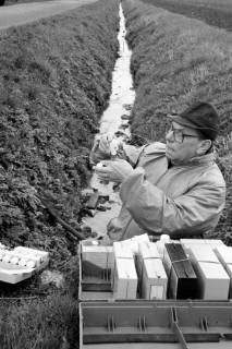 ARH Slg. Weber 02-009/0011, Ein Mann prüft die Wasserqualität eines Grabens, zwischen 1980/1990