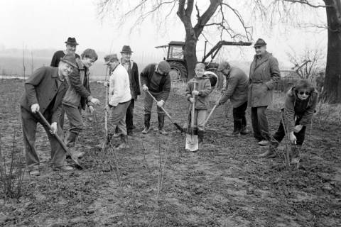 ARH Slg. Weber 02-055/0014, Pflanzaktion für Grüngehölz in der Feldmark mit l. Ortsbürgermeister und Landwirt Hermann Deiters, Leveste, zwischen 1980/1990