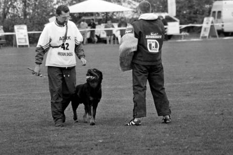 ARH Slg. Weber 02-065/0009, Vorführung eines Hundes auf einem Sportplatz, zwischen 1980/1990
