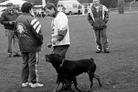 ARH Slg. Weber 02-065/0010, Vorführung eines Hundes auf einem Sportplatz, zwischen 1980/1990