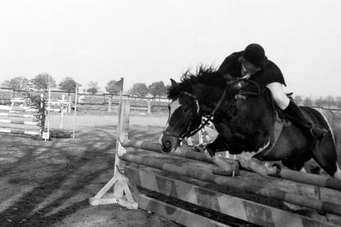ARH Slg. Weber 02-072/0003, Ein Reiter mit Pferd beim Sprung auf einem Springturnier des Reit- und Fahrvereins Vörie auf dem Turnierplatz in der Alte Bahnhofstraße, Lemmie, zwischen 1980/1990
