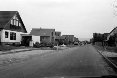 ARH Slg. Weber 02-072/0011, Eine Straße mit Einfamilienhäusern, zwischen 1980/1990