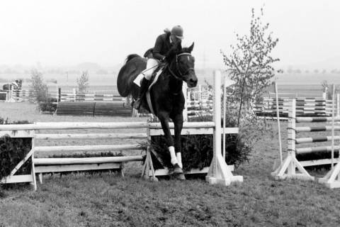 ARH Slg. Weber 02-085/0003, Ein Reiter mit Pferd beim Sprung auf einem Springturnier, zwischen 1980/1990