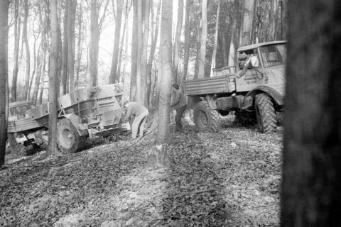 ARH Slg. Weber 02-088/0005, Männer bei Arbeiten mit Fahrzeugen in einem Wald, zwischen 1980/1990