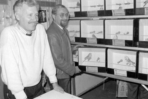 ARH Slg. Weber 02-101/0017, Erster Vorsitzender Günter Oppenborn (links) mit einem weiteren Mitglied des Vogelliebhaber- und Vogelschutzverein Gehrden und Umgebung bei einer Ausstellung mit Wellensittichen, zwischen 1980/1990