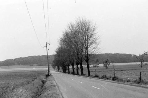 ARH Slg. Weber 02-132/0012, Große Bergstraße, Verbindungsweg von Redderse durch den Gehrdener Berg nach Gehrden, zwischen 1980/1990