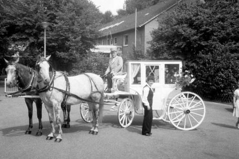 ARH Slg. Weber 02-136/0014, Hochzeitskutsche vor dem Verwaltungsgebäude der Stadt Gehrden, zwischen 1980/1990