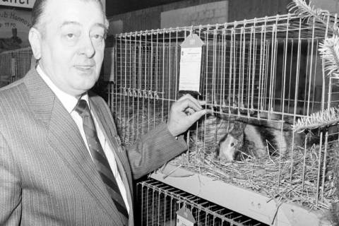 ARH Slg. Weber 02-150/0003, Ein Mann neben einem Kaninchenkäfig auf einer Kaninchenzuchtausstellung, zwischen 1980/1990
