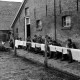 Archiv der Region Hannover, ARH NL Dierssen 0102/0021, Soldaten vor einem Bauernhof in der Nähe von Groningen